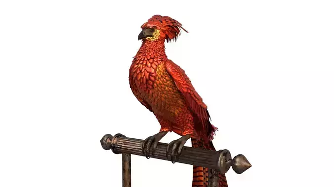Fawkes Bird