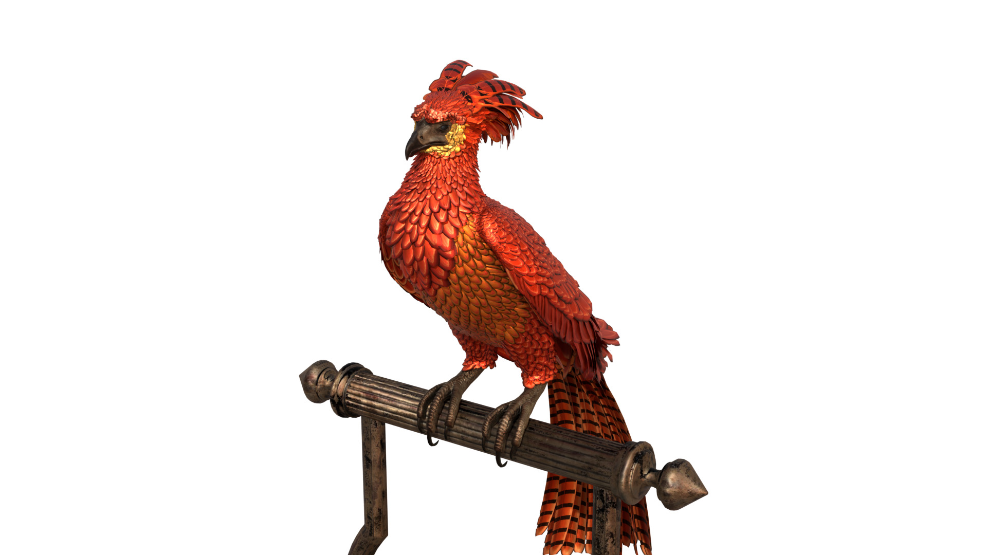 Fawkes Bird Low-poly 3D model_9