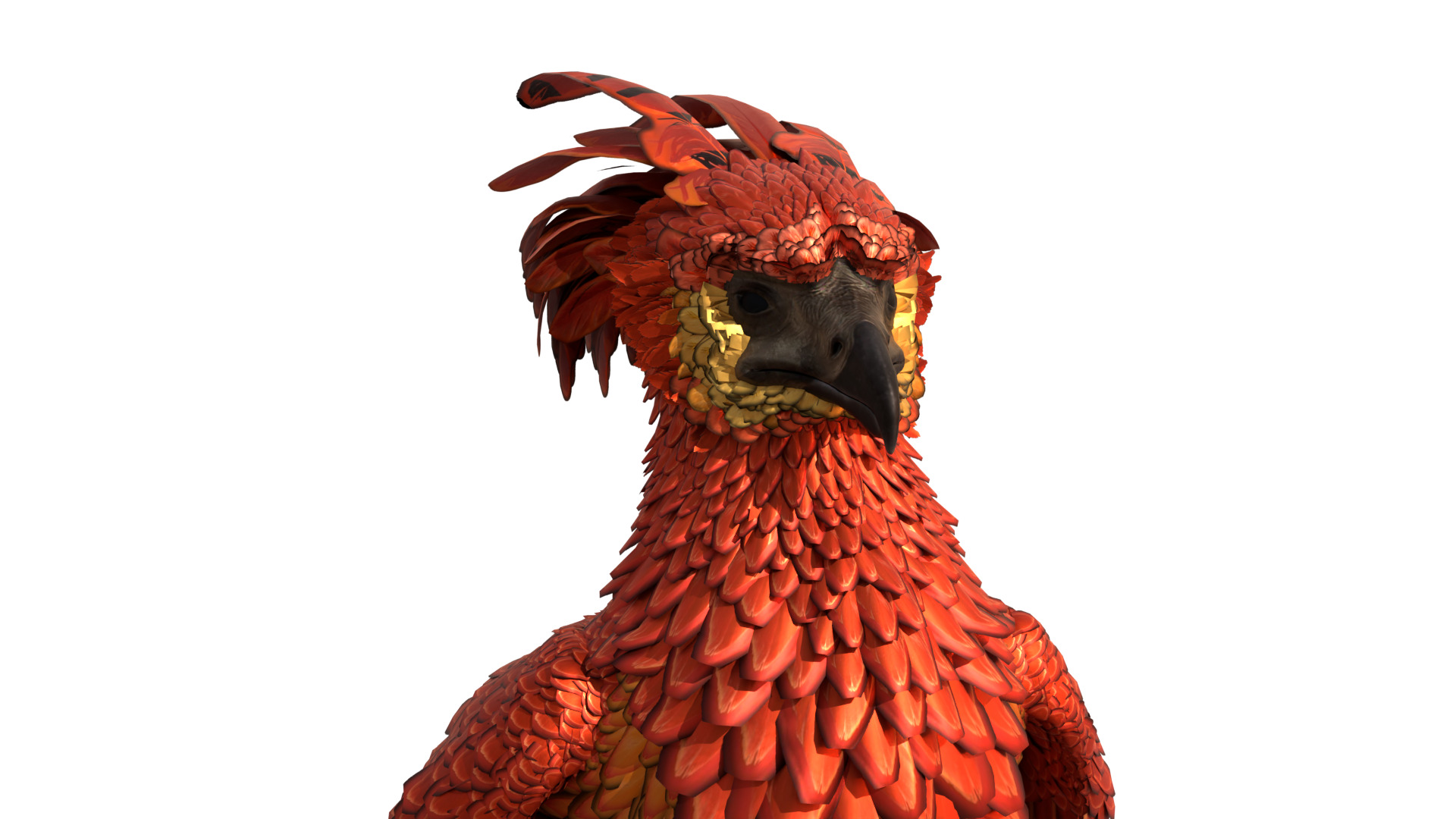 Fawkes Bird Low-poly 3D model_1