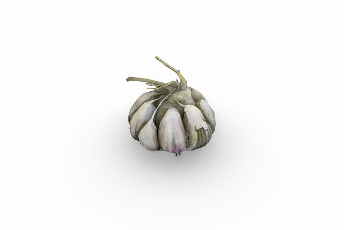 Garlic Bulb Low-poly 3D model 4