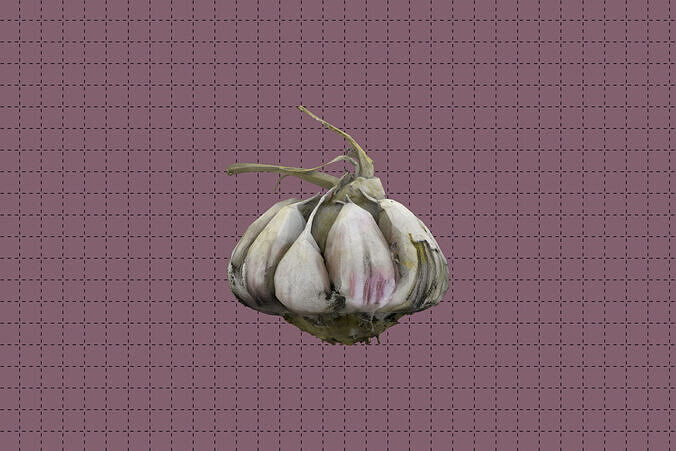 Garlic Bulb Low-poly 3D model 6