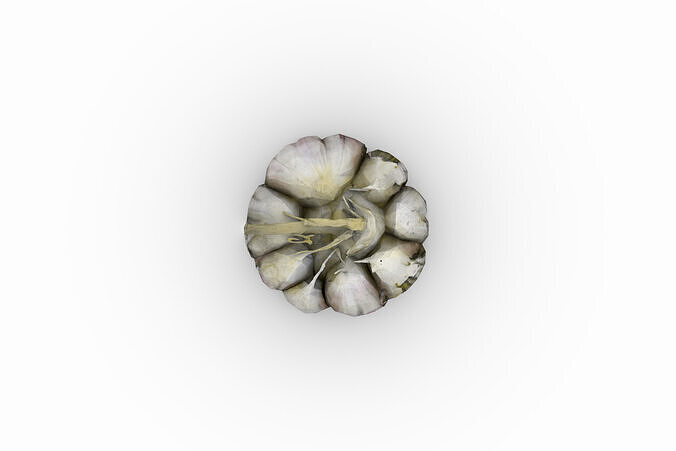Garlic Bulb Low-poly 3D model 5