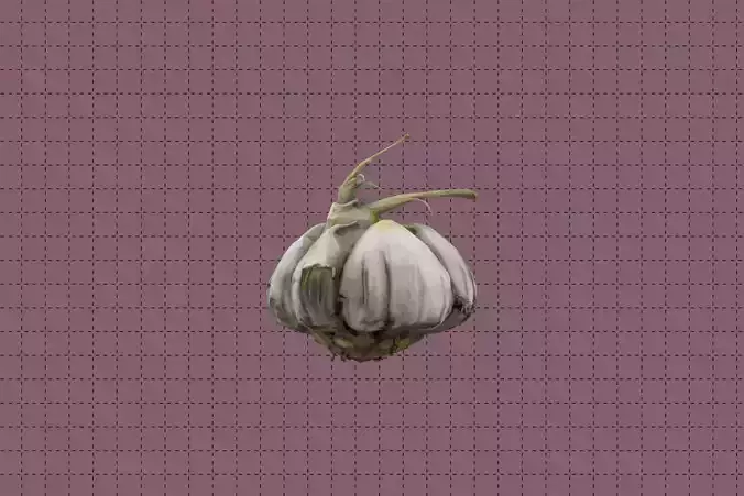 Garlic Bulb Low-poly 3D model