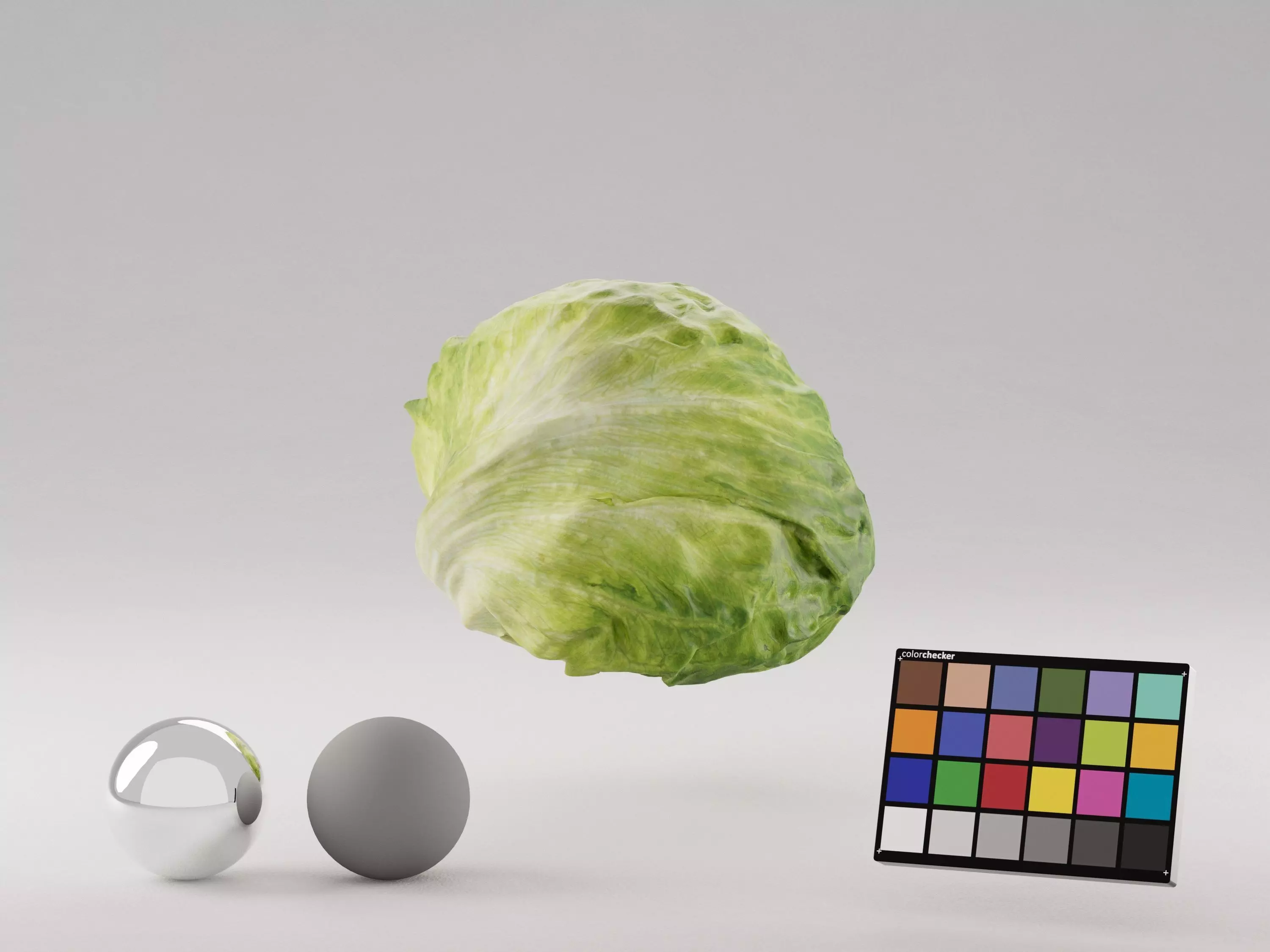 Iceberg Lettuce 3D model