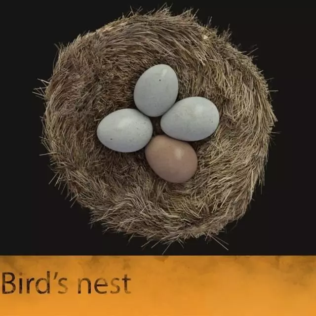 Bird nest with eggs 3D model_0