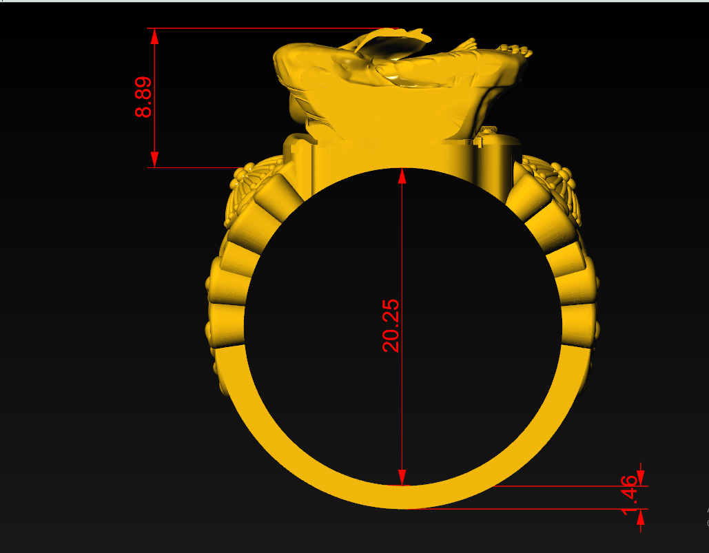 raghavendra swamy ring 3d print model  3D print model_4
