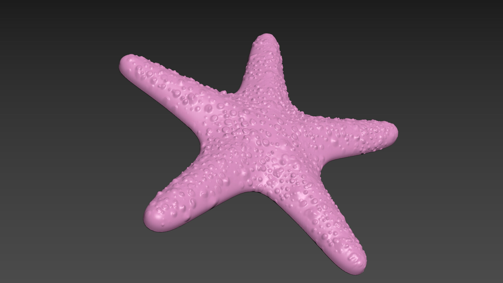 Starfish Sea Star 3D print model_3