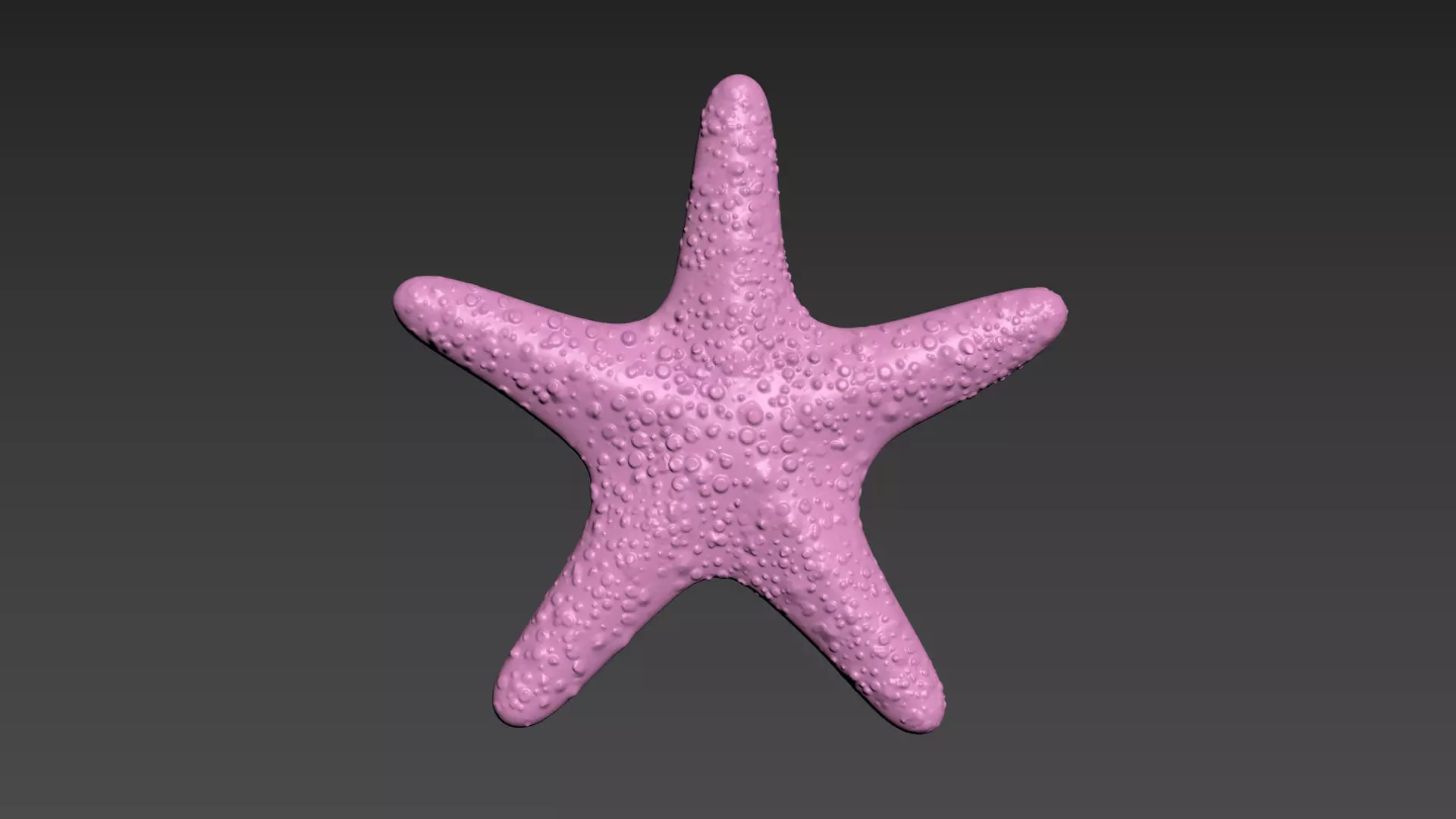 Starfish Sea Star 3D print model_0