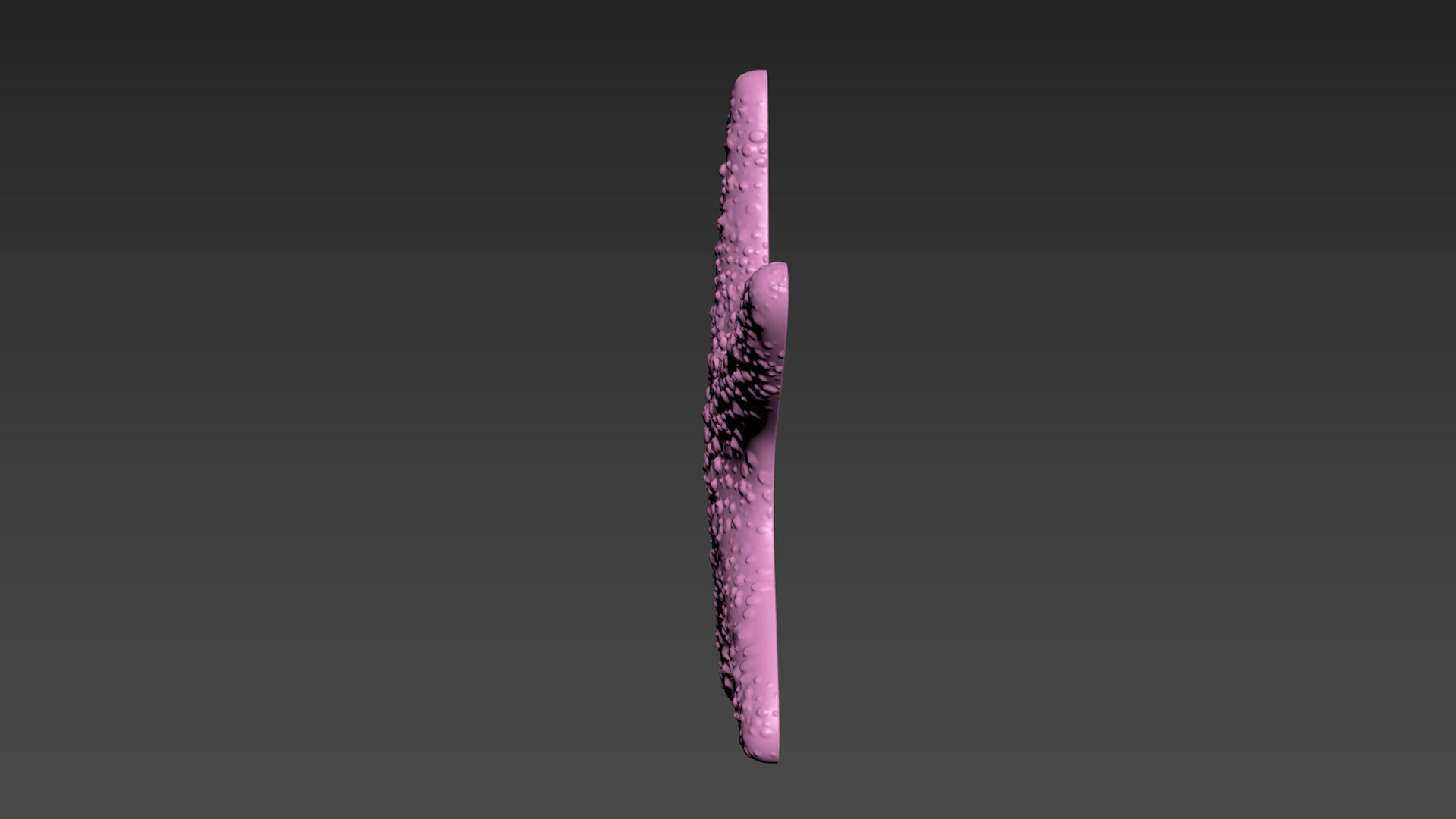 Starfish Sea Star 3D print model_12