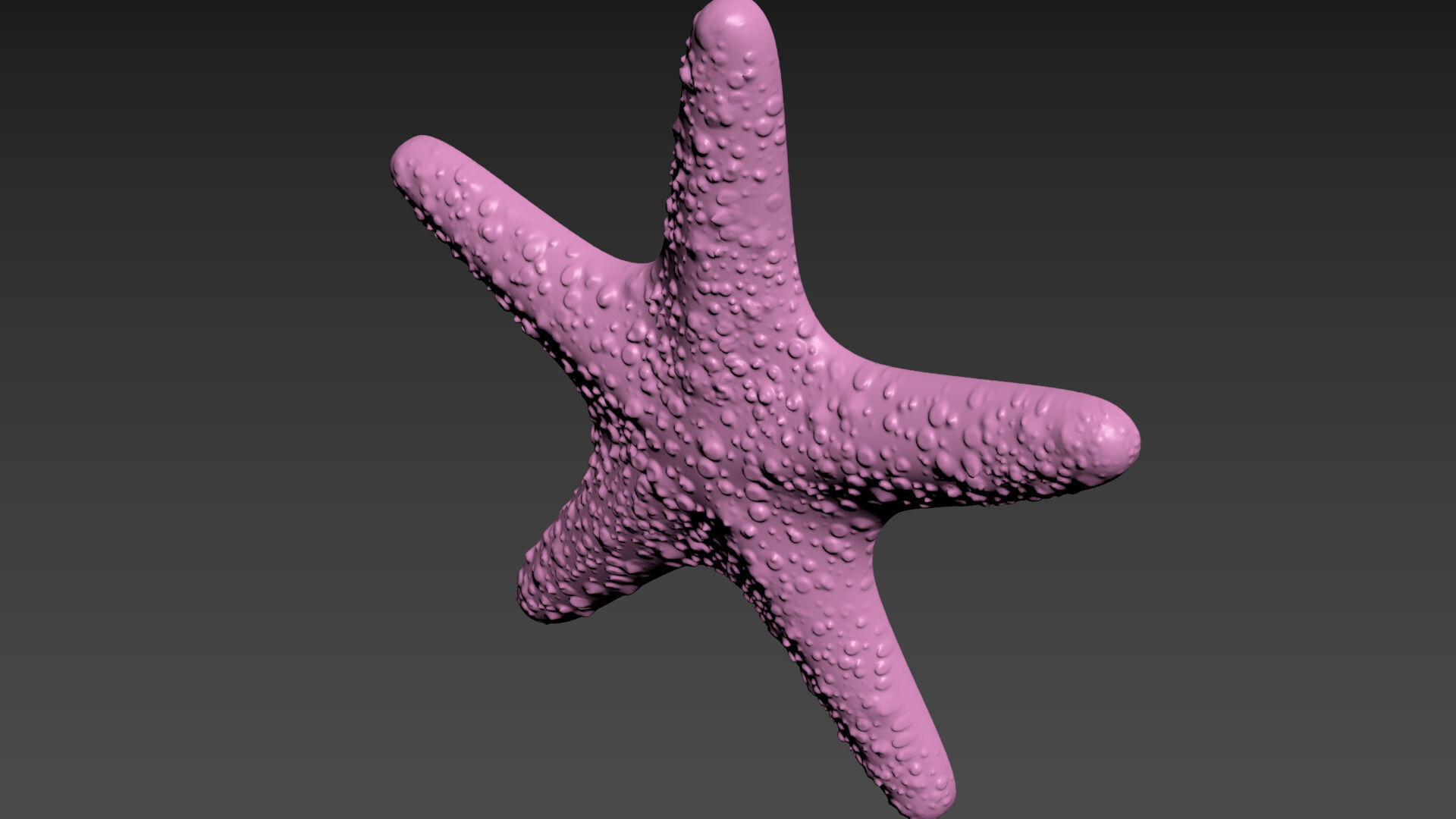 Starfish Sea Star 3D print model_4