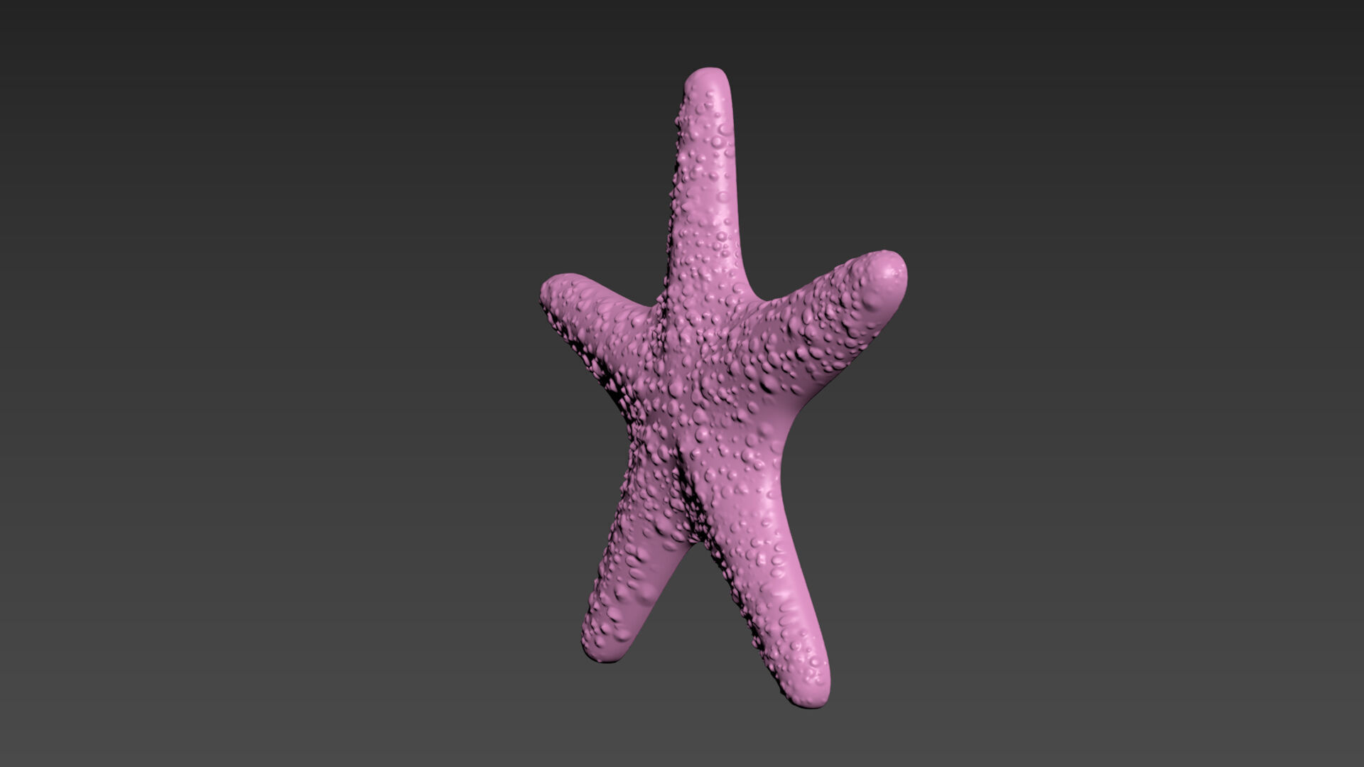 Starfish Sea Star 3D print model_13