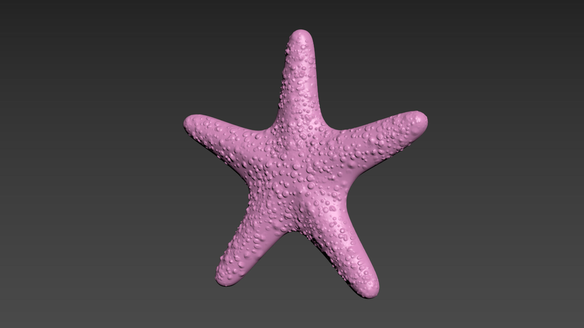 Starfish Sea Star 3D print model_2