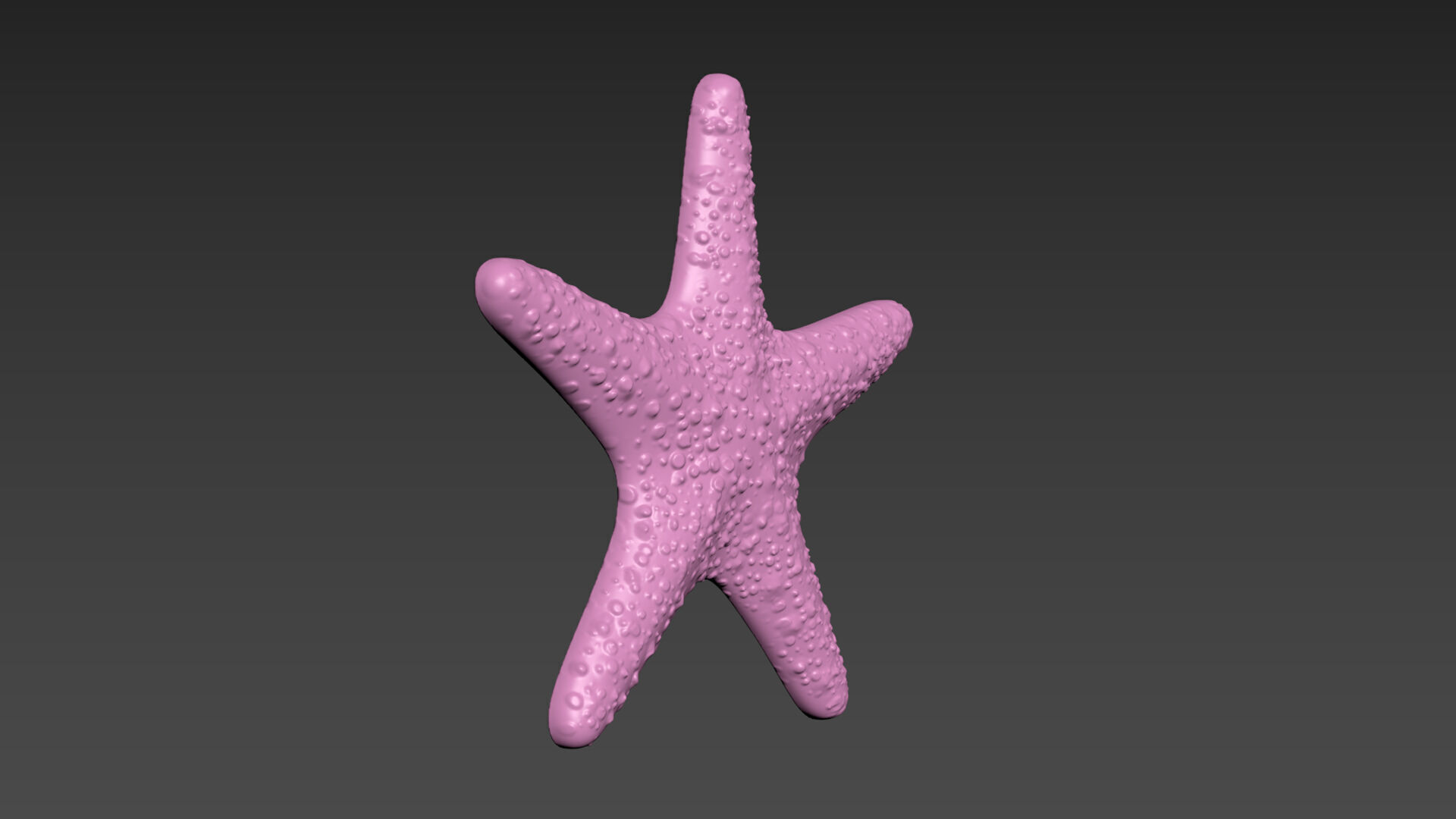 Starfish Sea Star 3D print model_7