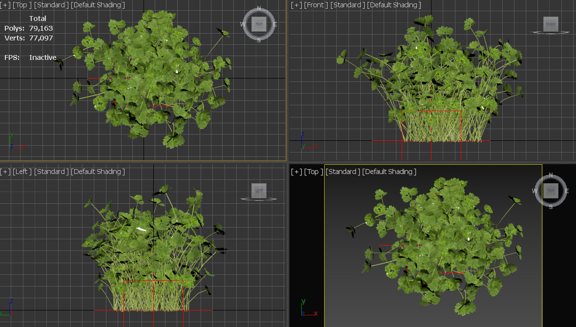 Plant Low-poly 3D model_4