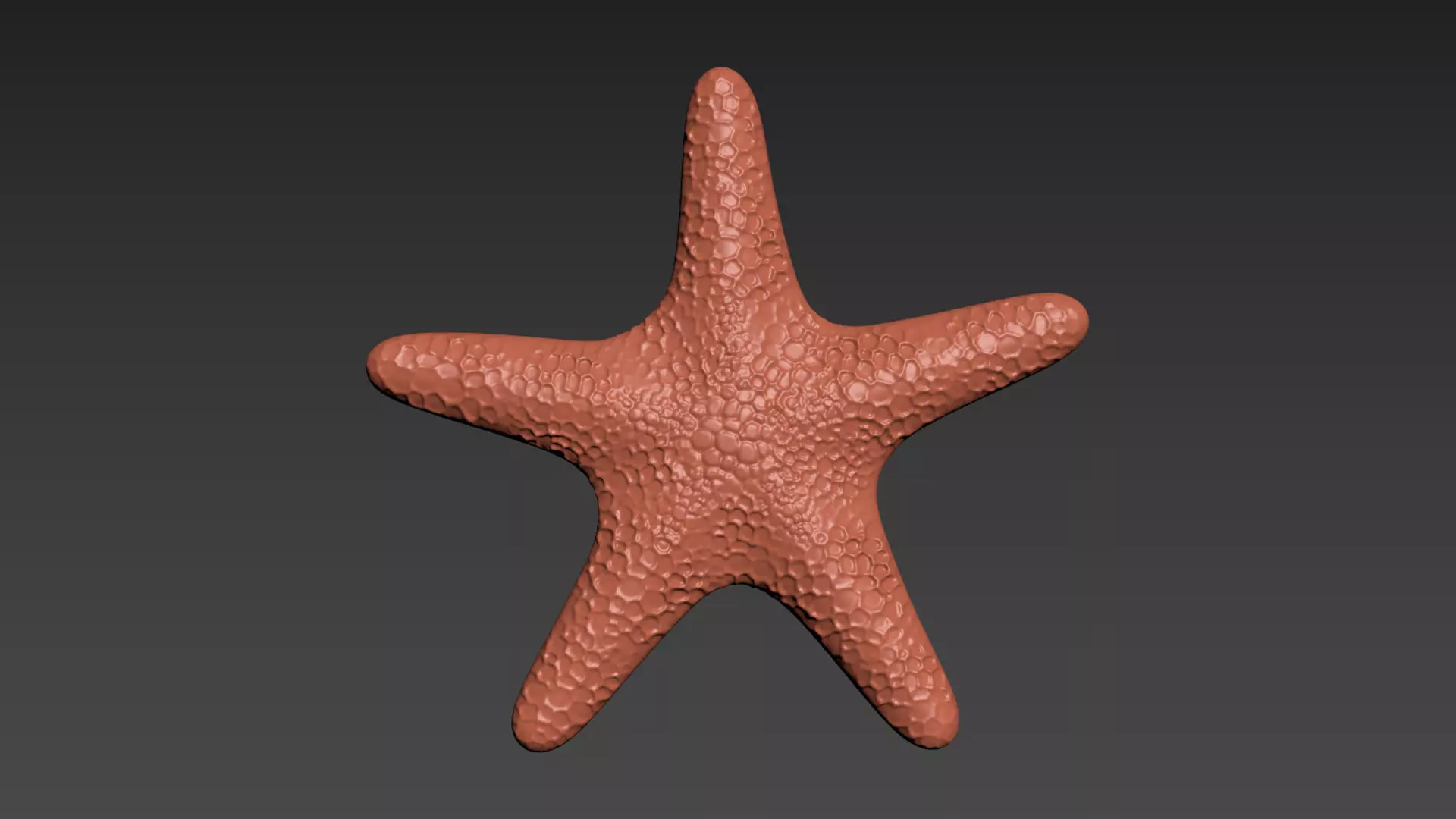 Starfish Echinoderm Sea Star 3D print model_0