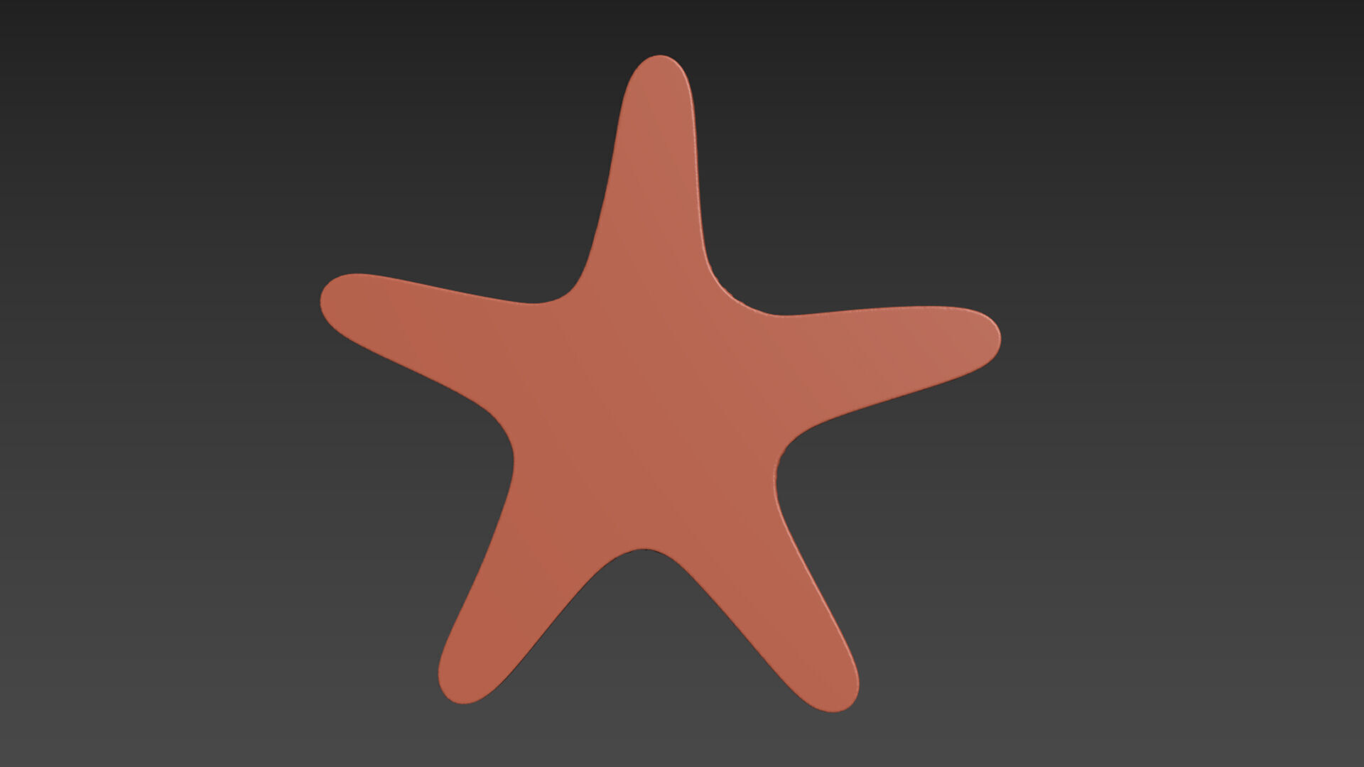 Starfish Echinoderm Sea Star 3D print model_14
