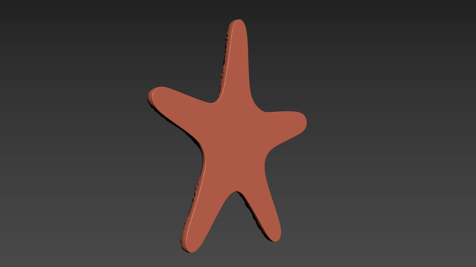 Starfish Echinoderm Sea Star 3D print model_13