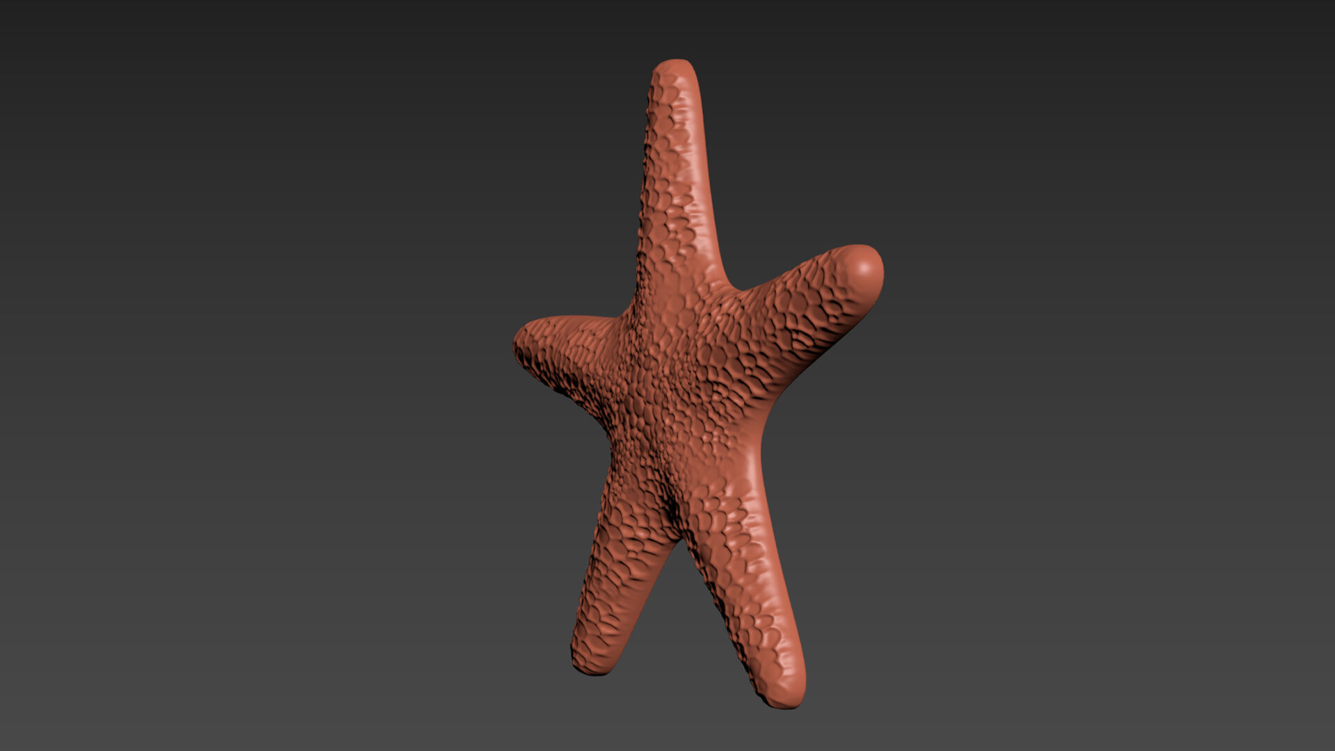 Starfish Echinoderm Sea Star 3D print model_10
