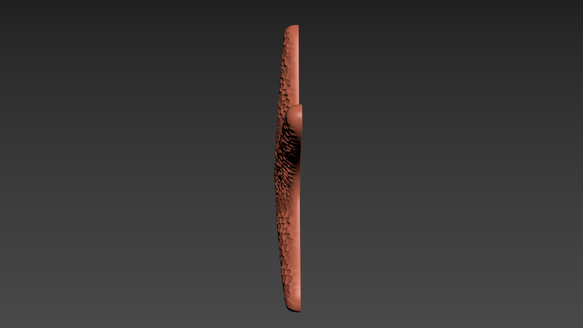 Starfish Echinoderm Sea Star 3D print model_12