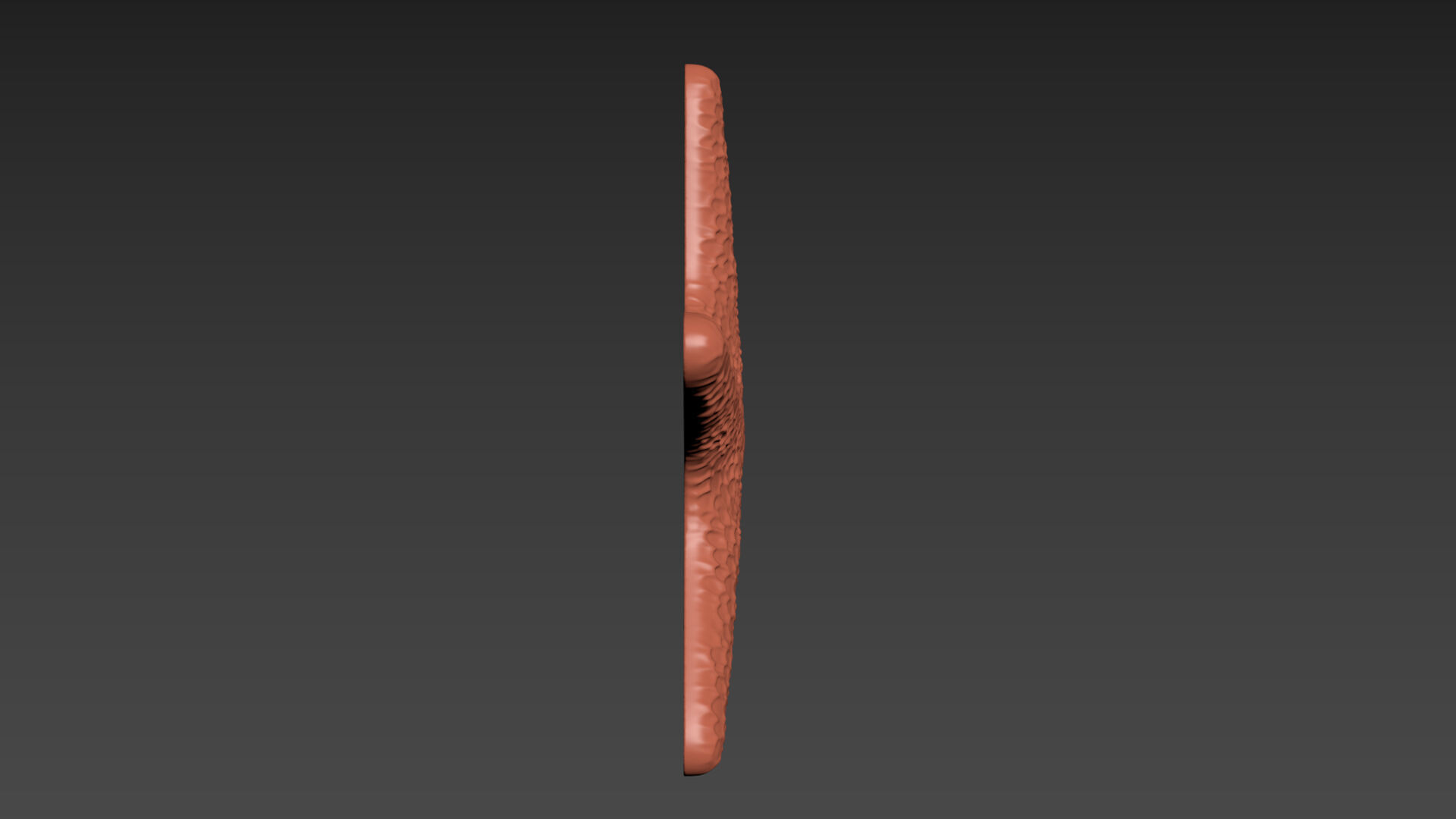 Starfish Echinoderm Sea Star 3D print model_2