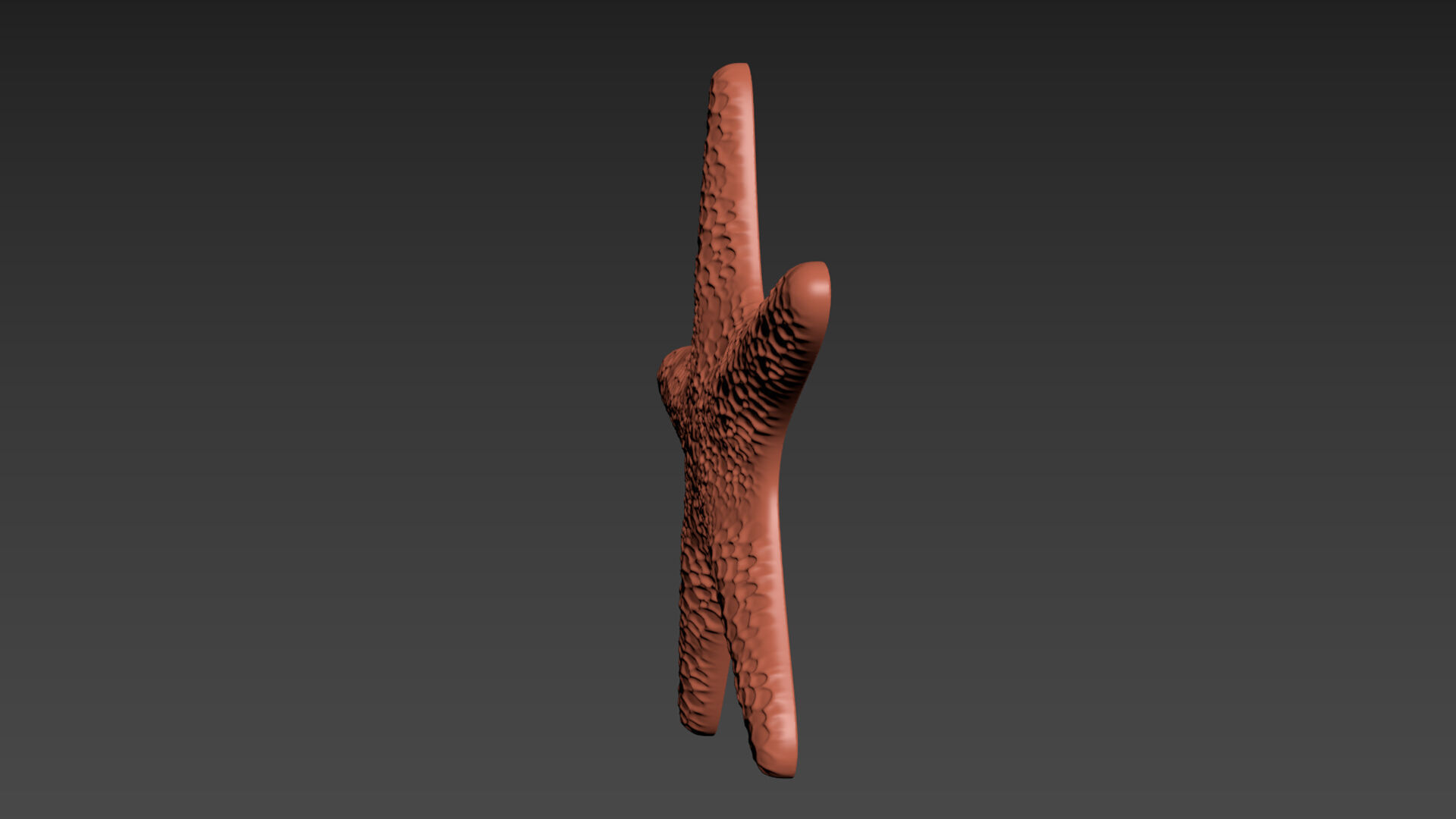 Starfish Echinoderm Sea Star 3D print model_11