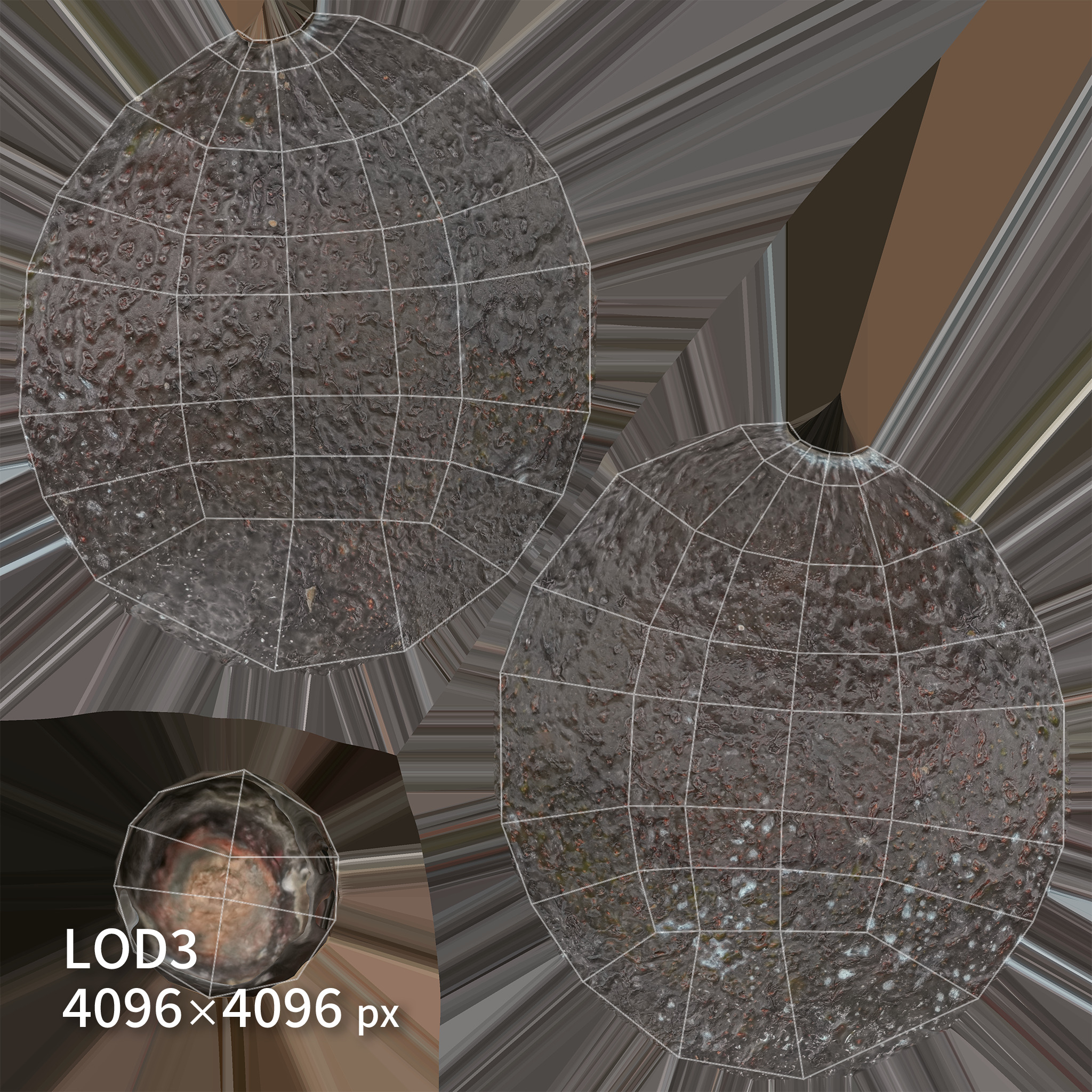 Avocado 3D model Low-poly 3D model_11