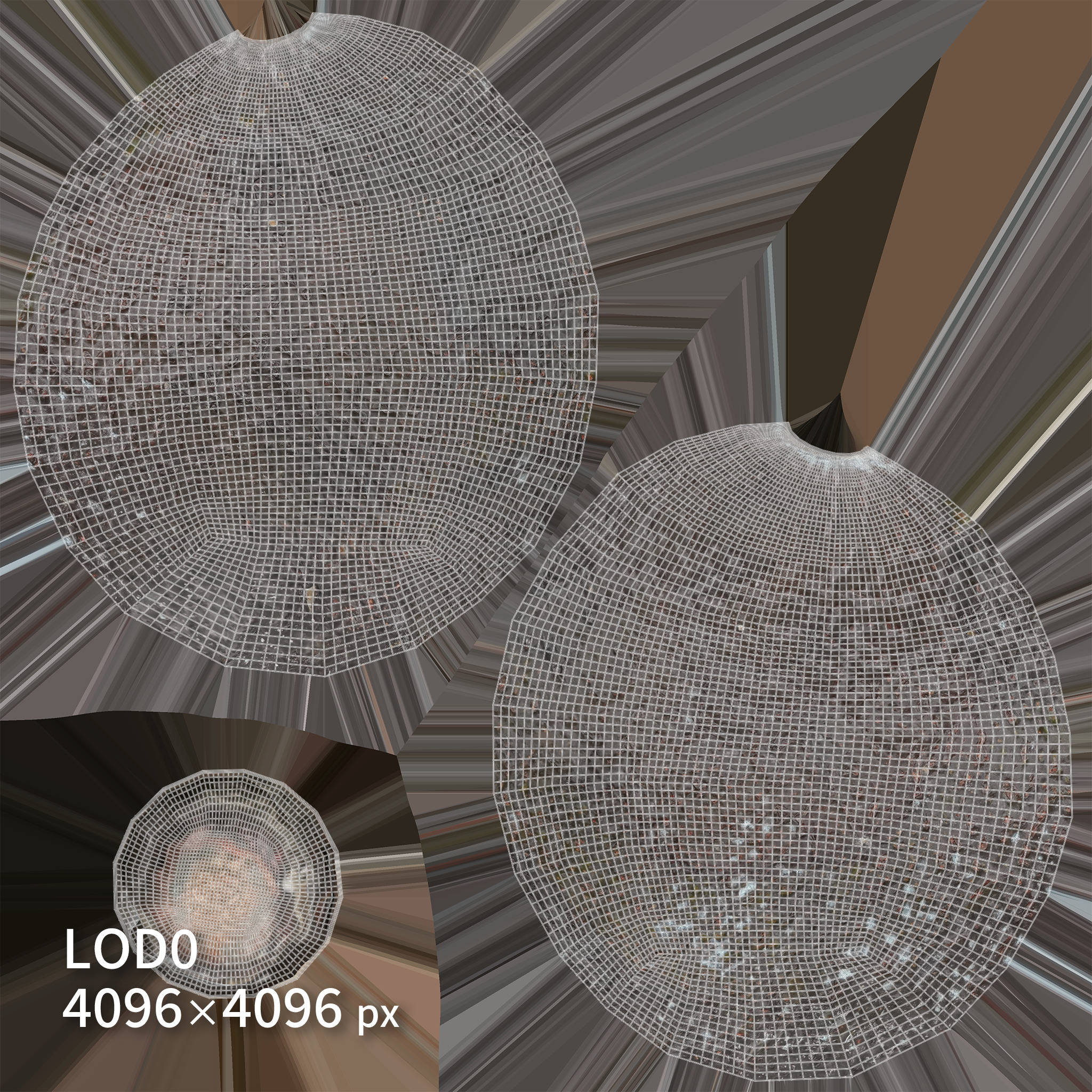 Avocado 3D model Low-poly 3D model_10