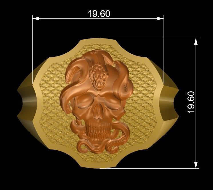 Snake and Skull Ring 02 3D print model_8
