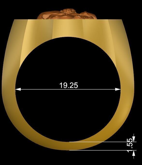 Snake and Skull Ring 02 3D print model_9