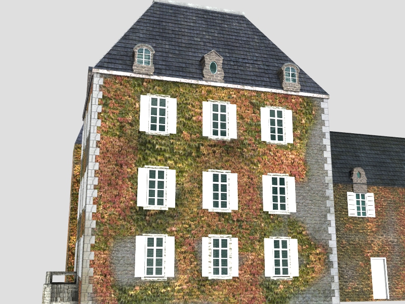 French XVIIIth century manor 3D model_6