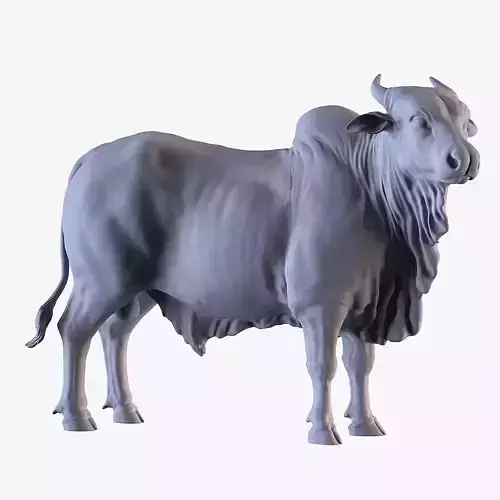 Ongole Bull 3D print model