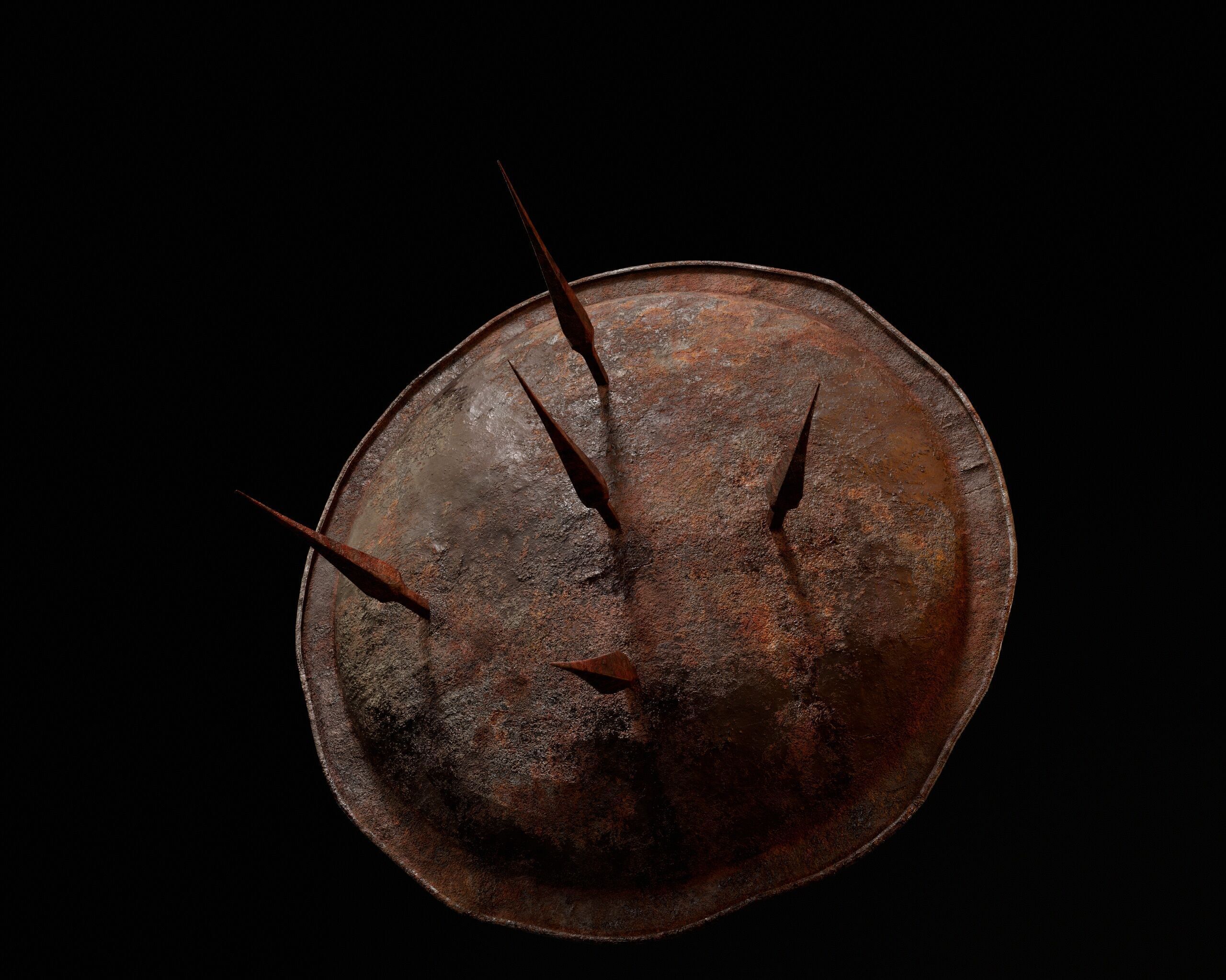 Undead Shield Low-poly 3D model_8