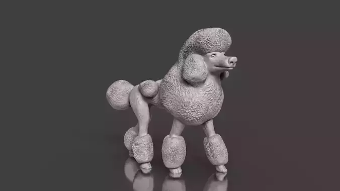 Realistic Pretty Poodle  3D print model