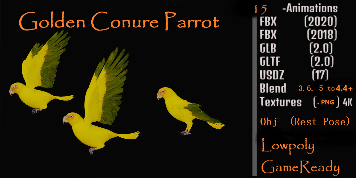 Golden Parrot Conure Low-poly 3D model_2