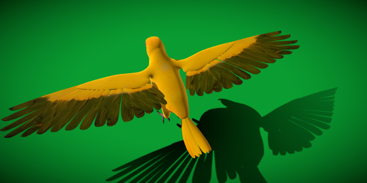 Golden Parrot Conure Low-poly 3D model_33