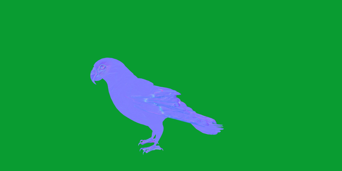 Golden Parrot Conure Low-poly 3D model_10