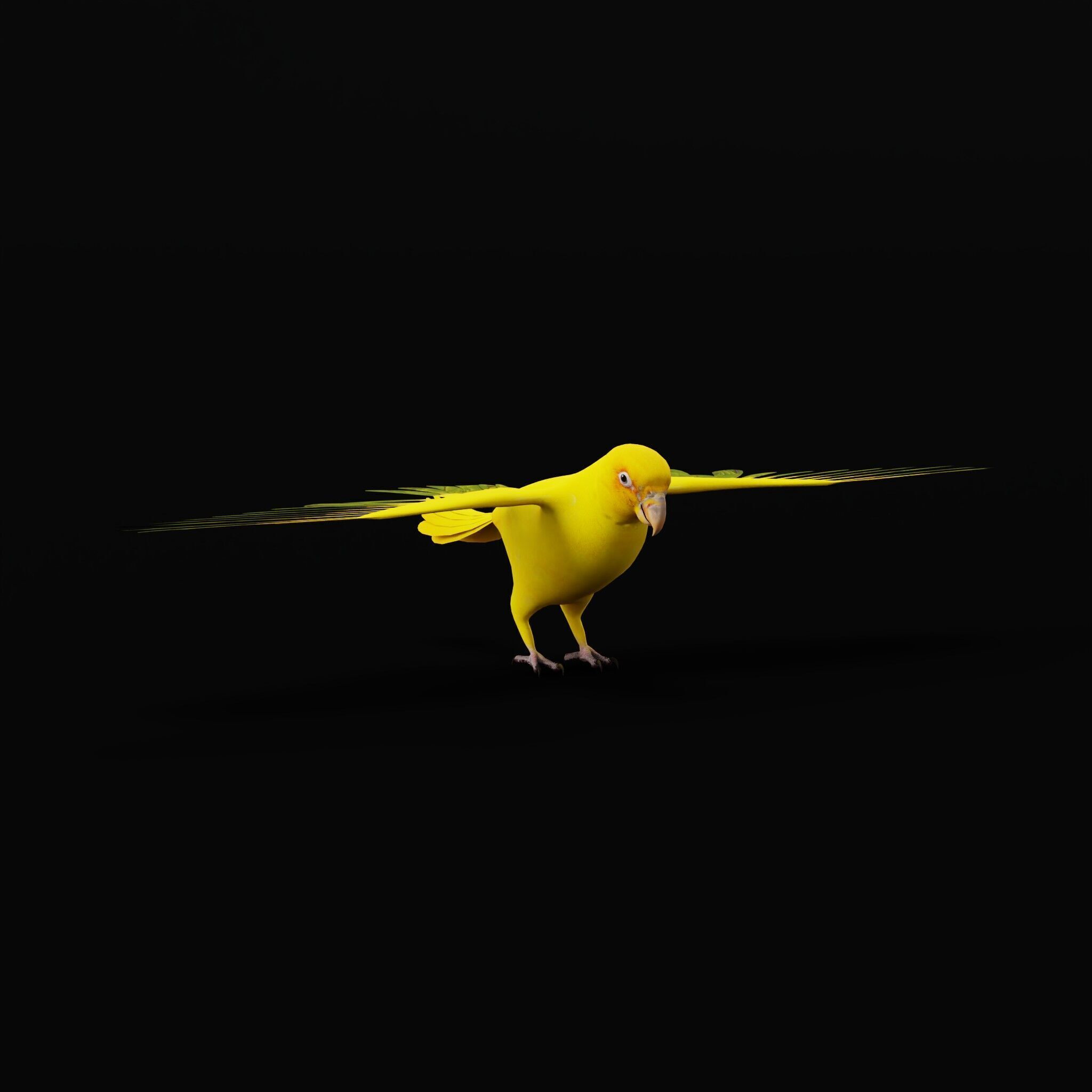Golden Parrot Conure Low-poly 3D model_43
