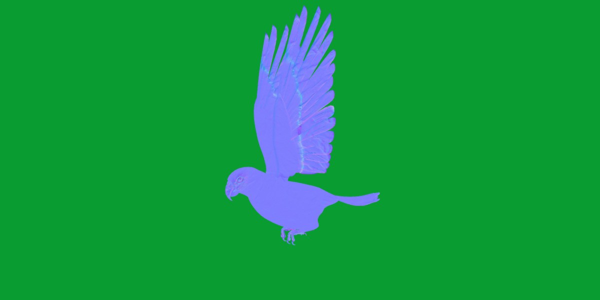 Golden Parrot Conure Low-poly 3D model_16