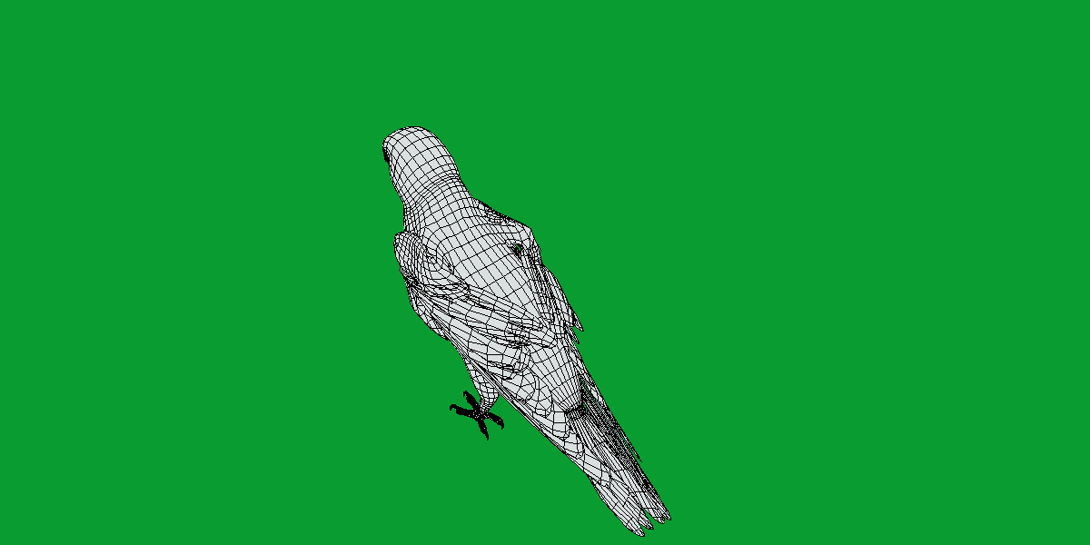 Golden Parrot Conure Low-poly 3D model_31