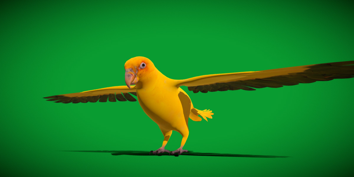 Golden Parrot Conure Low-poly 3D model_37
