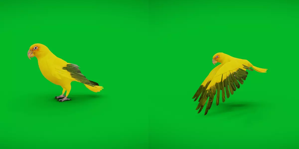 Golden Parrot Conure Low-poly 3D model_0