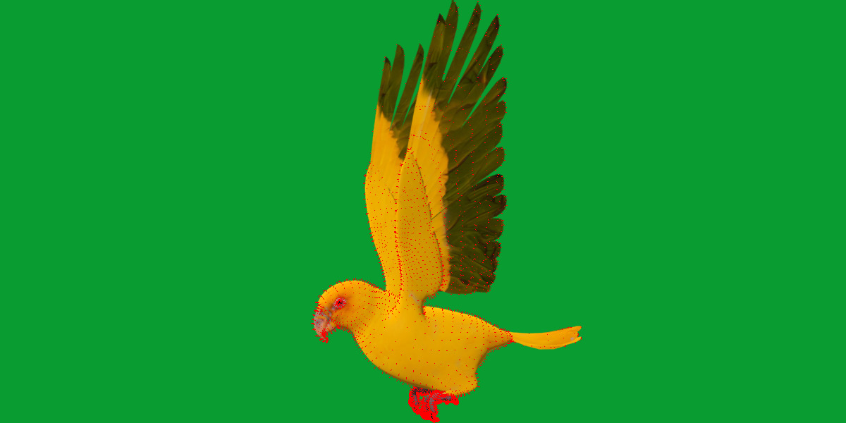 Golden Parrot Conure Low-poly 3D model_23