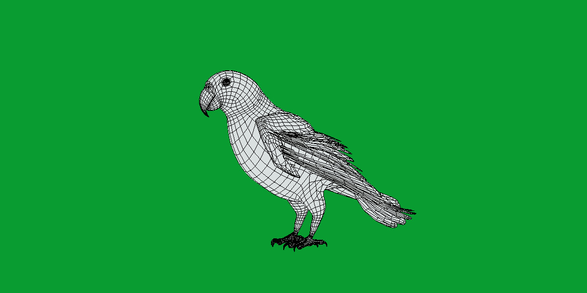 Golden Parrot Conure Low-poly 3D model_30