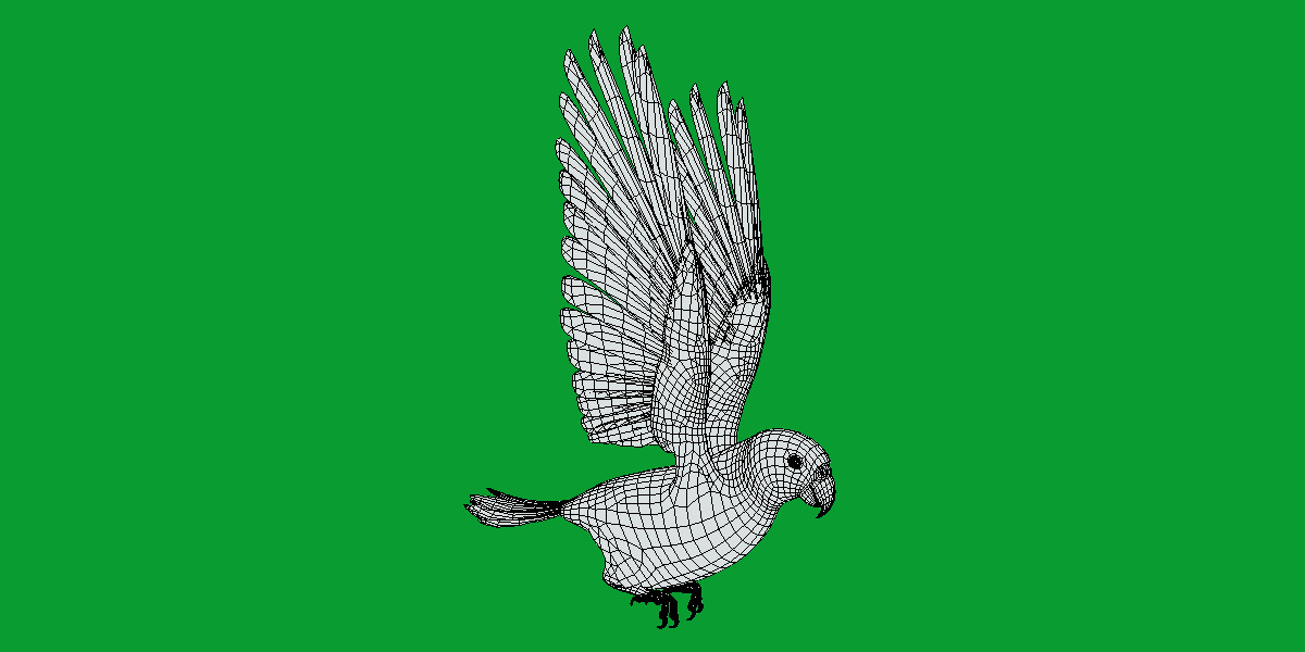 Golden Parrot Conure Low-poly 3D model_21