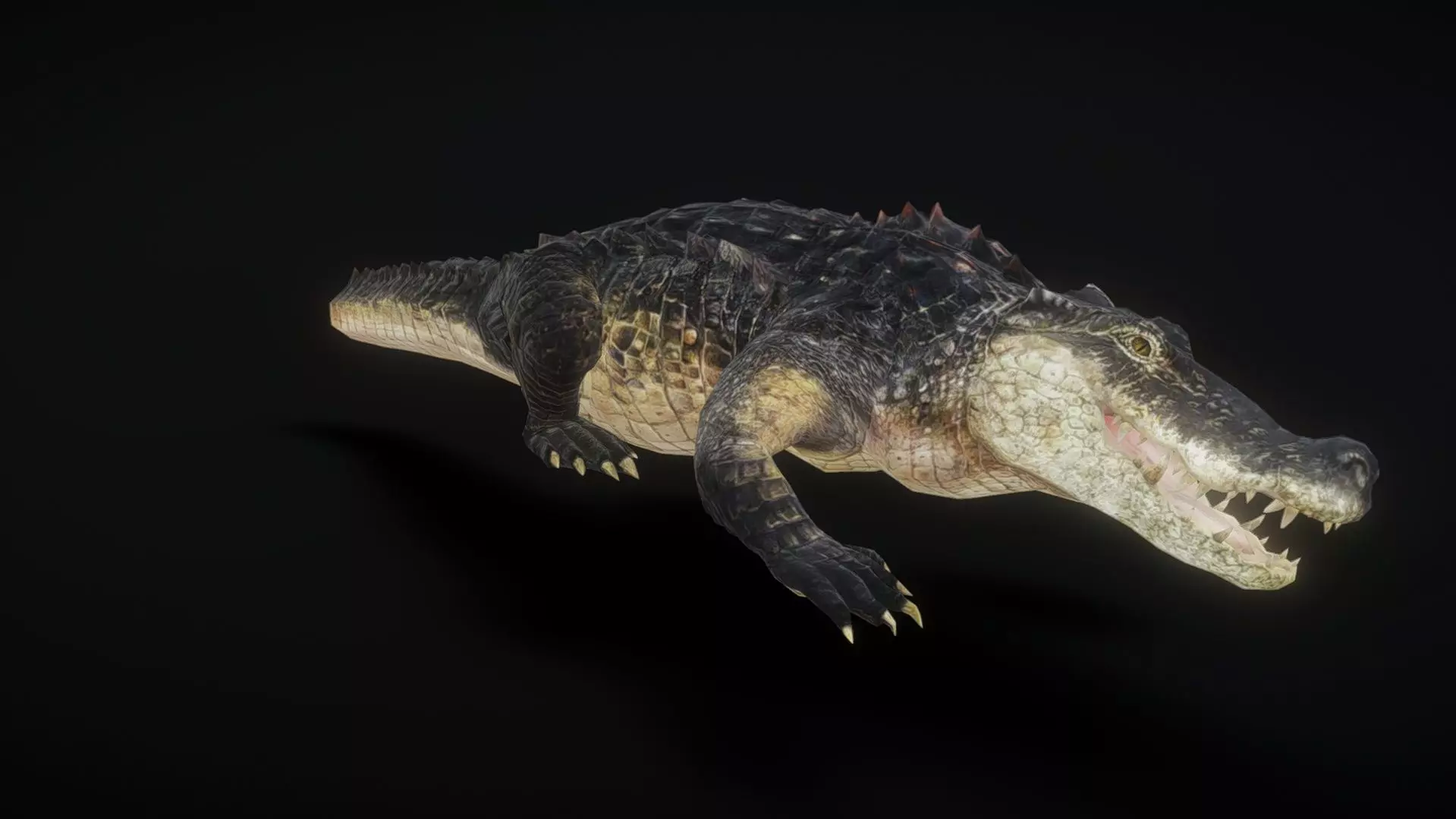 Crocodile animation Low-poly 3D model