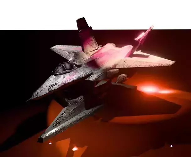 Multirole Fighter Jet Toy
