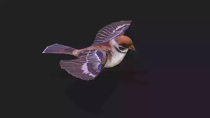 Sparrow  with 256 frames of action 