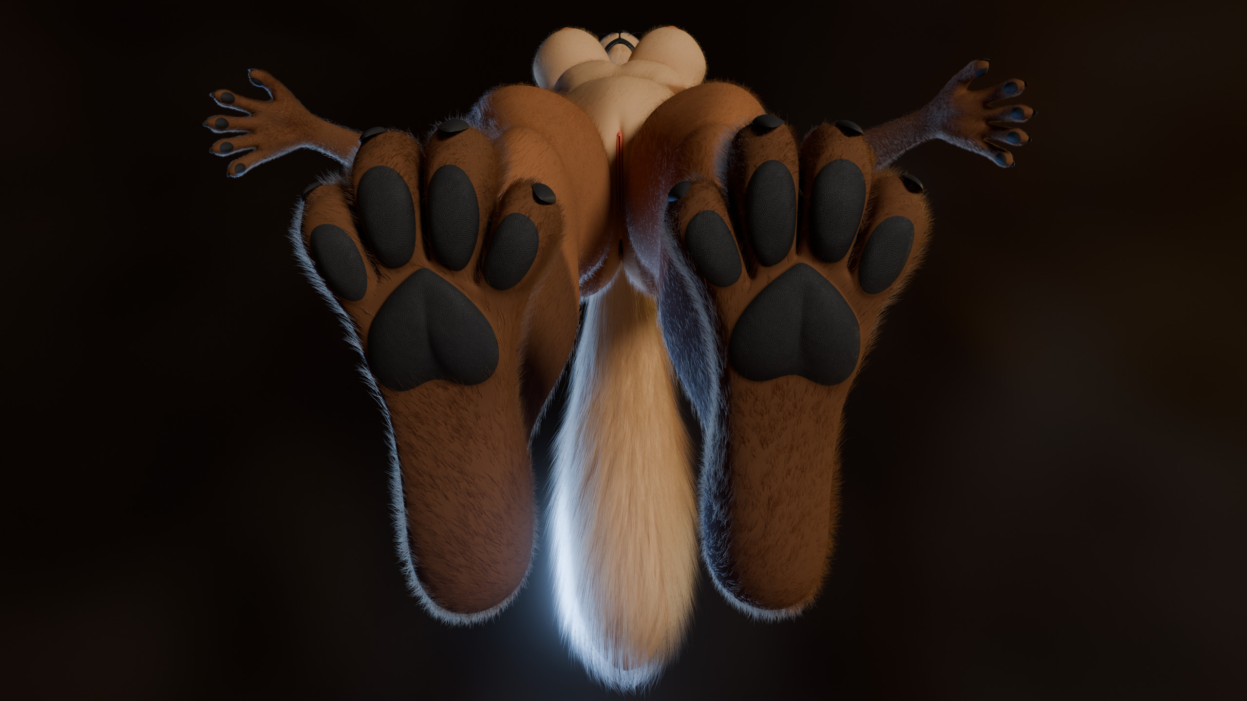 Natsuki Anthro Fox Low-poly 3D model_13