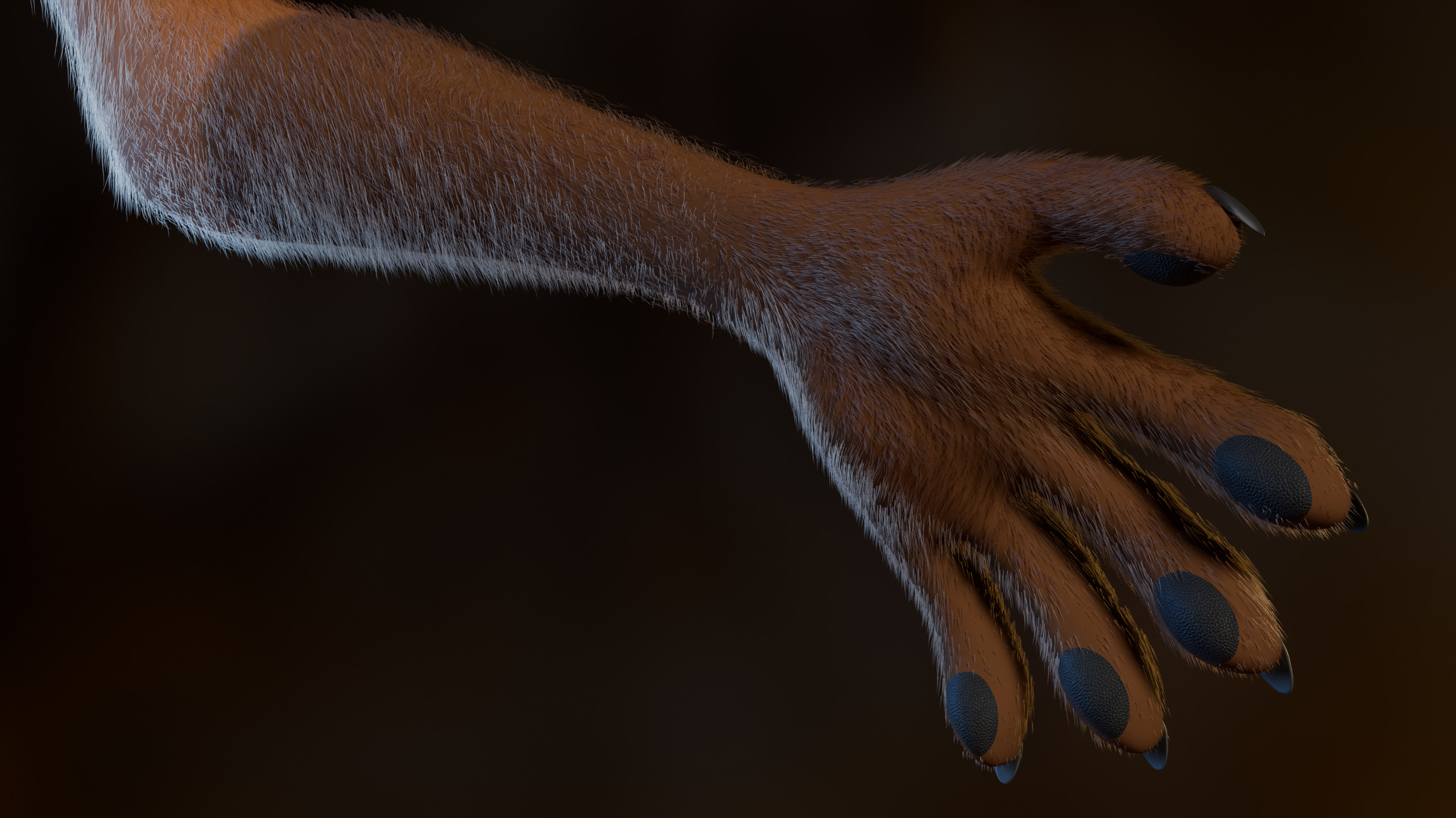 Natsuki Anthro Fox Low-poly 3D model_11