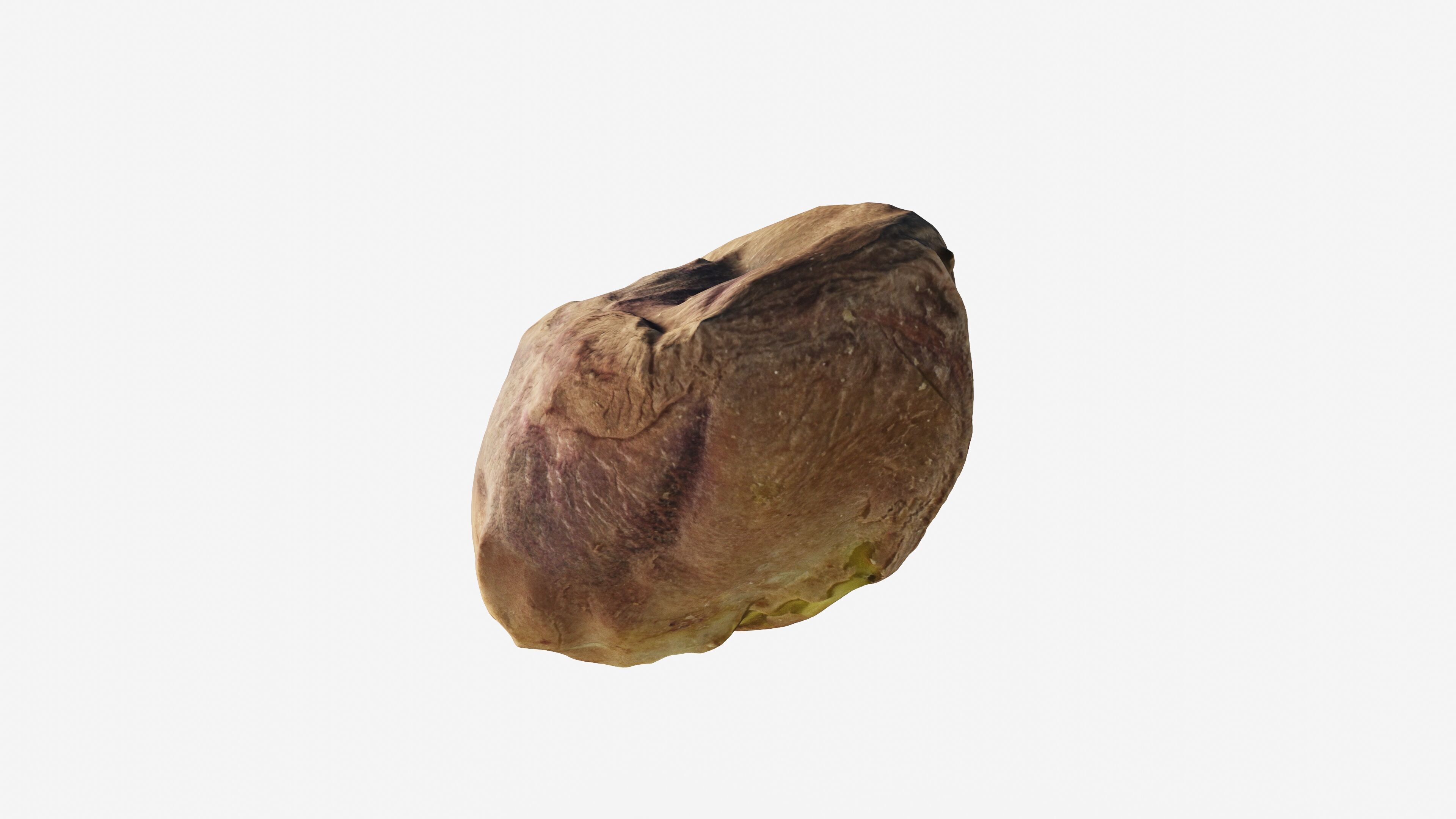 Scanned pistachio nut Low-poly 3D model_9